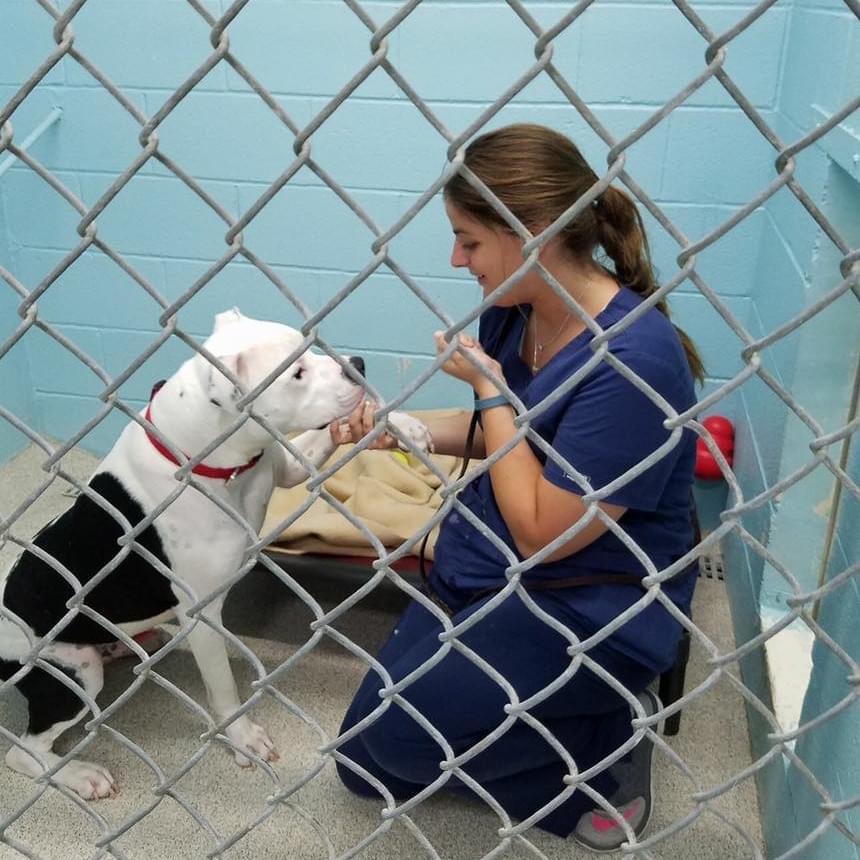 West Chicago Voice - The voice of West Chicago, Illinois - digital local news - for locals by locals .