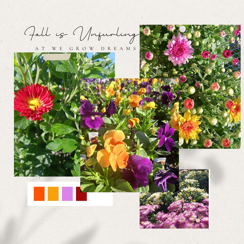 West Chicago Voice - The voice of West Chicago, Illinois - digital local news - for locals by locals .