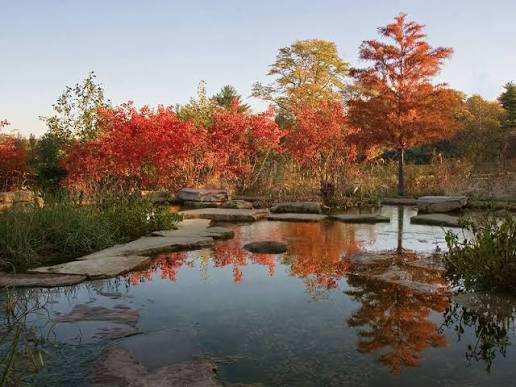 Things to Do This Fall at The Morton Arboretum in Nearby Lisle